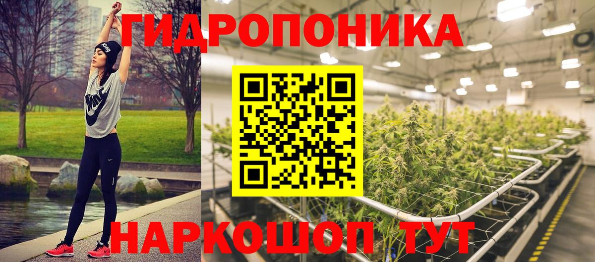 Марихуана Amnesia Губаха